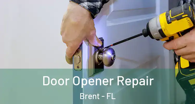  Door Opener Repair Brent - FL
