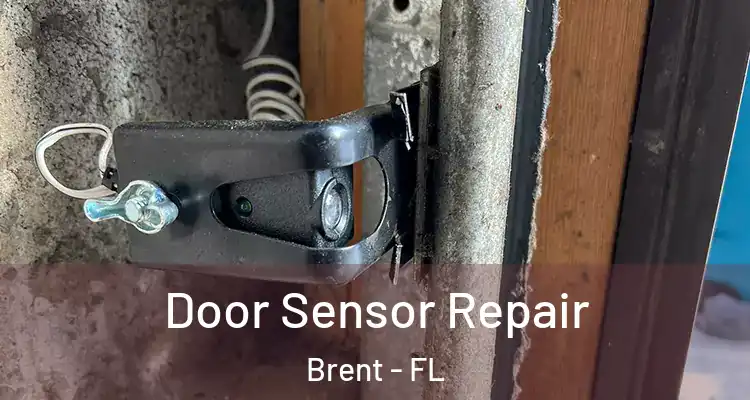  Door Sensor Repair Brent - FL