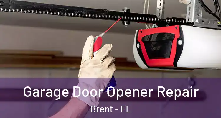  Garage Door Opener Repair Brent - FL