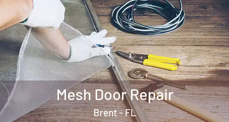  Mesh Door Repair Brent - FL