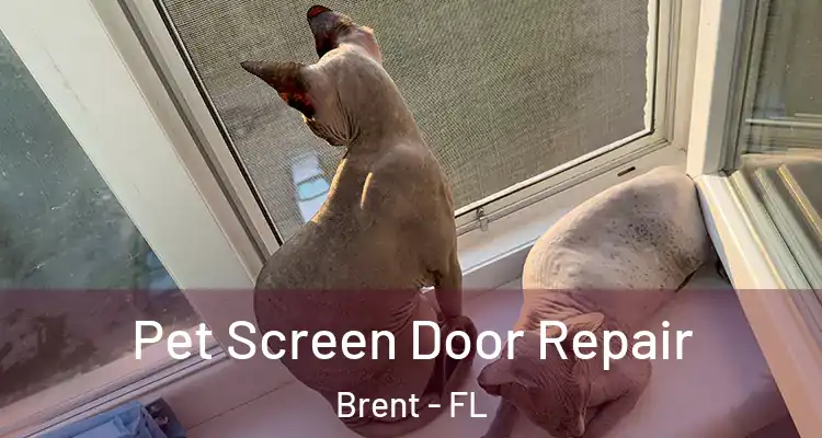  Pet Screen Door Repair Brent - FL