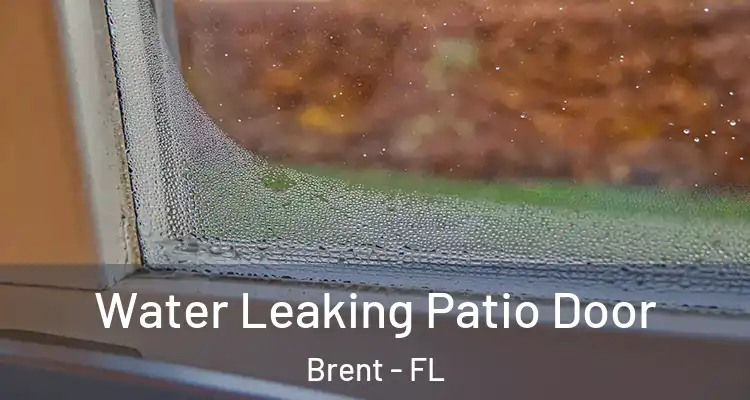  Water Leaking Patio Door Brent - FL