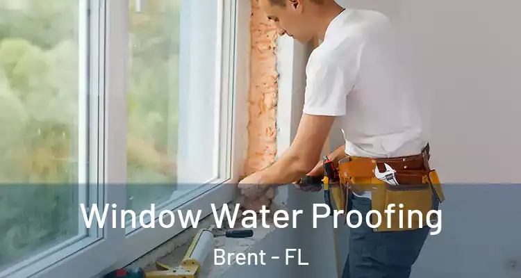  Window Water Proofing Brent - FL